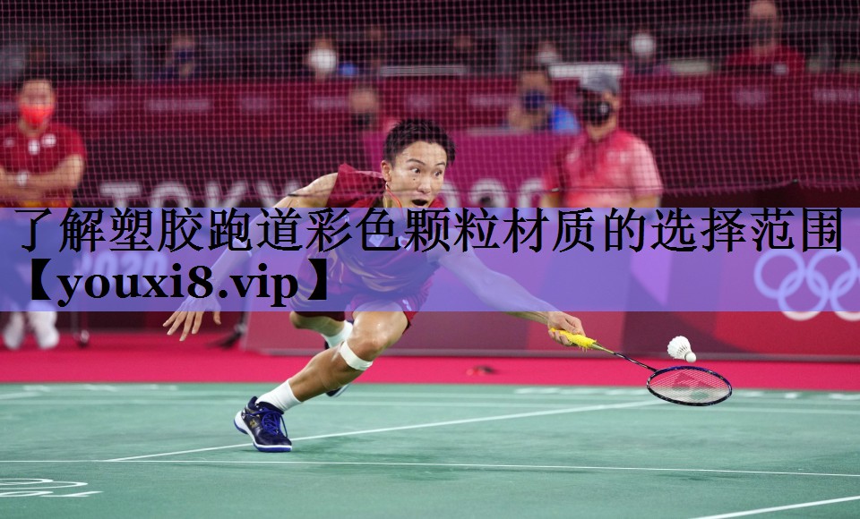 了解塑胶跑道彩色颗粒材质的选择范围