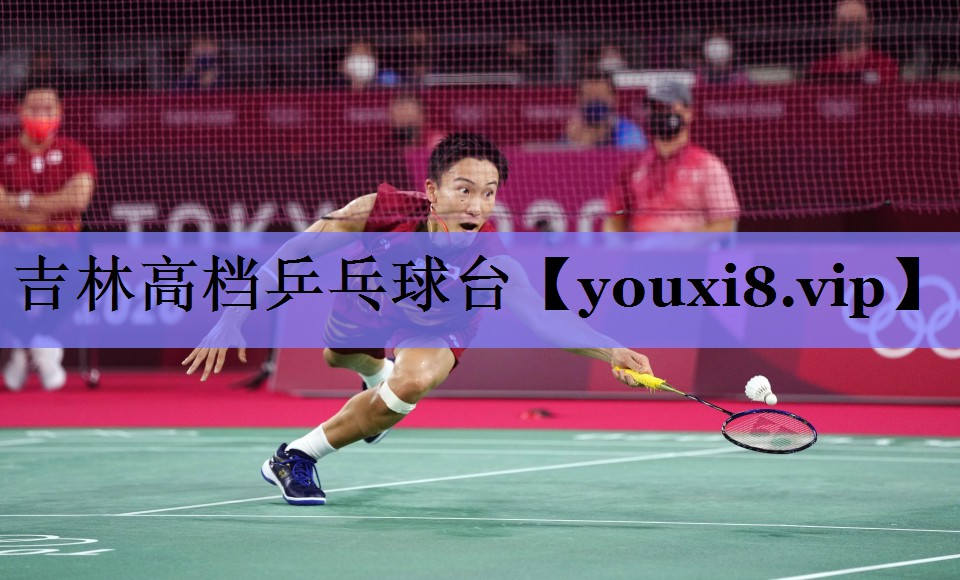 吉林高档乒乓球台