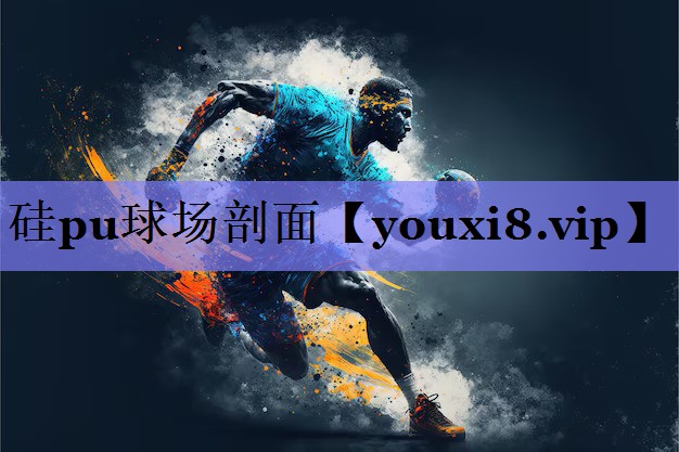 硅pu球场剖面