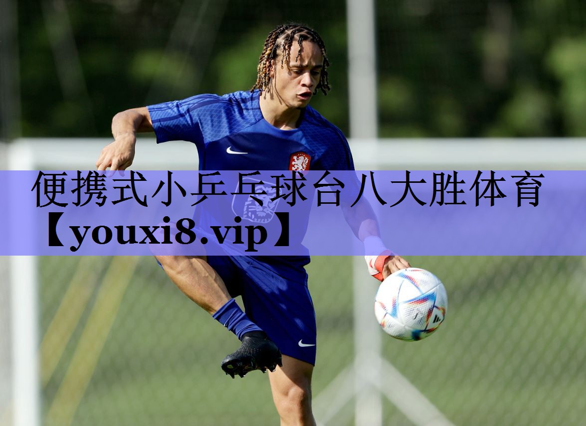 便携式小乒乓球台八大胜体育
