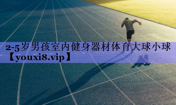 2-5岁男孩室内健身器材体育大球小球