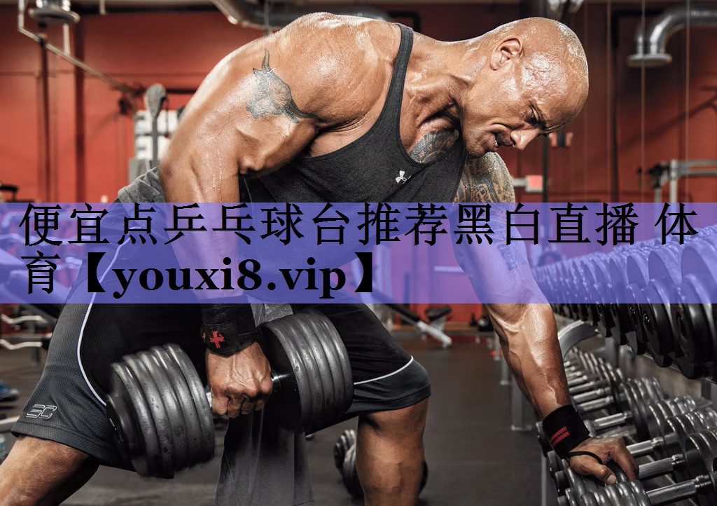 便宜点乒乓球台推荐黑白直播 体育