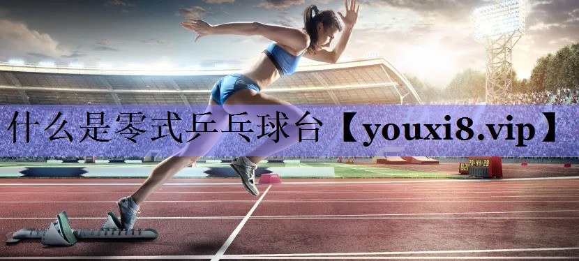 什么是零式乒乓球台
