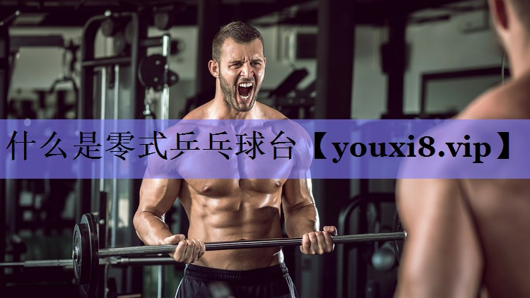 什么是零式乒乓球台