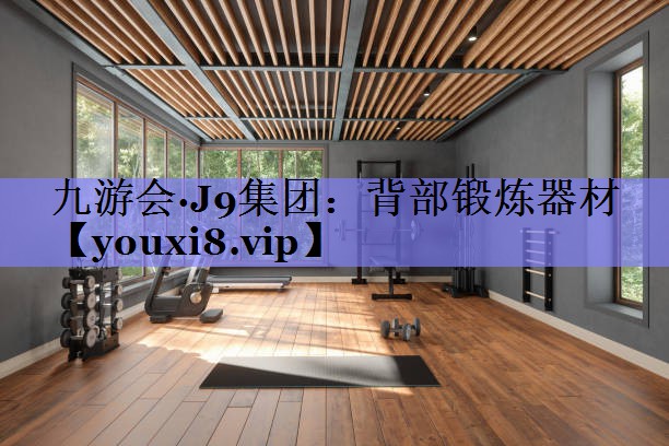 背部锻炼器材