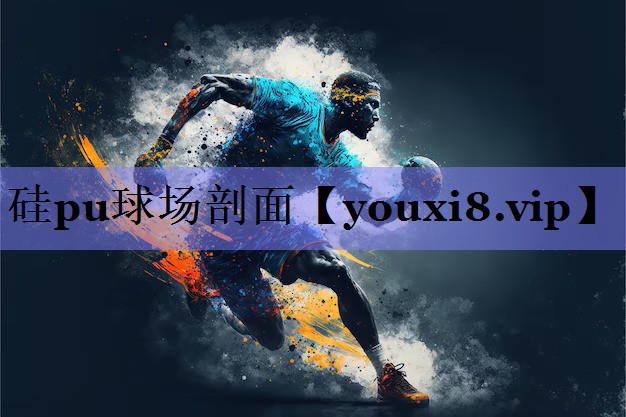 硅pu球场剖面