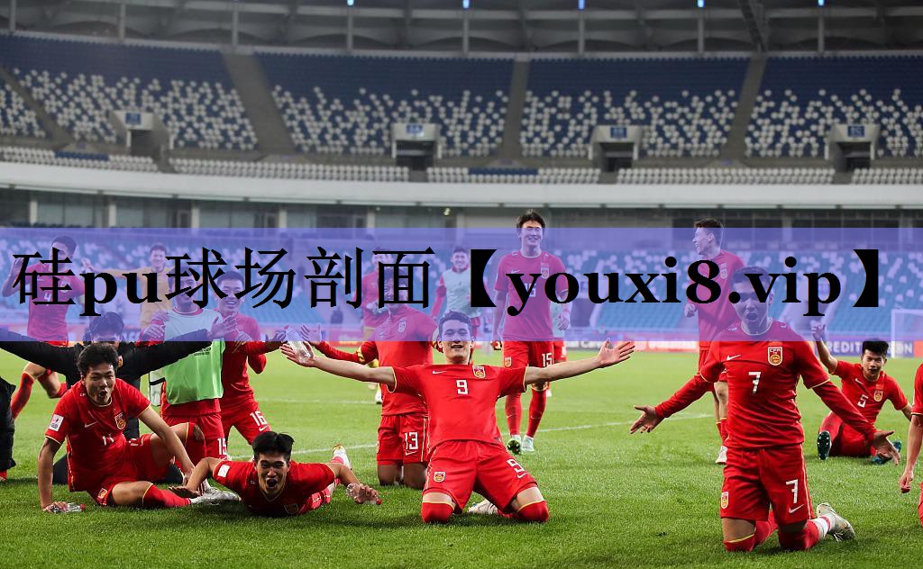 硅pu球场剖面