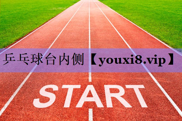乒乓球台内侧