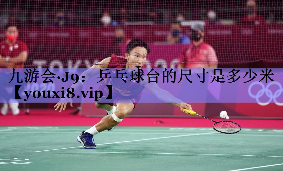 乒乓球台的尺寸是多少米