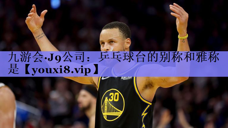 乒乓球台的别称和雅称是